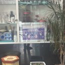 오리대감 이미지