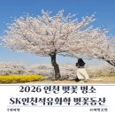 유진상가 개방화장실 | 2026 인천 벚꽃 명소 SK인천석유화학 벚꽃동산 개방 기간 및 주차 총정리
