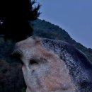 괴산 성불산 휴양림- 괴산호 산막이 옛길 트레킹 이미지