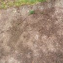 신장가축병원 이미지