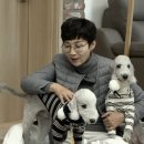 부부펫