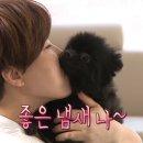 꼬순내 이미지