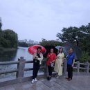 넷스토아 이미지