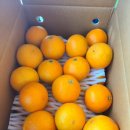 거산농장 이미지