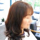 고즈헤어 이미지