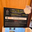 궁동 | (별리달리 돈까스 궁동점) 대전가족식사 별리달리 별달돈까스 궁동점 방문 후기