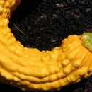 소소농장 이미지