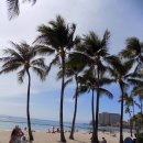 나홀로 하와이 여행 7 - 공항 배웅, 다운 타운, 차이나 타운, 이올라니 궁전, 카메하메하 왕 동상, 퀸 카피올라니 공원 이미지