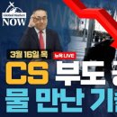 우드핑크 이미지
