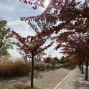 바다해오름 이미지