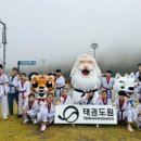 용인대성민태권도 이미지