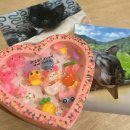 삼송작은도서관 | 🇰🇷북스테이 썸원스페이지숲 ˚₊· 오랜만에 혼자여행 강원도 춘천 뚜벅이 1박2일 경비