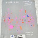 일상적 참사는 우리 몸과 마음에 무엇을 남기는가 이미지