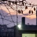 우리공인중개사사무소 | 2024.12월 첫째주 주간일기 "불장난"