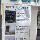 연산동 카페 추천 밀크티 카페반디나무 연산점