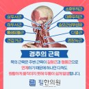 늘좋은한의원 이미지