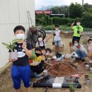 감물초등학교 이미지