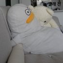 뽀얀세탁 | 분리세탁 없이 흰옷 관리?하이트만 흰옷 세탁시트가 답이었어요! 하이트만 흰옷 세탁시트 사용 찐 후기