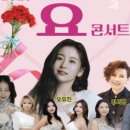 노벨문학도시 장흥 붐업페스타 2025 효 콘서트 이미지