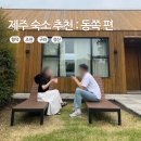 스테이오름 민박 | 제주 숙소 위치별 추천 : 동쪽 편(함덕 조천 구좌 성산)