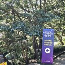 무료영화 상영 <리바운드> | [체험후기] 서귀포 ‘한여름밤의 영화 상영’ 후기｜천지연폭포에서 즐긴 특별한 여름밤 🎬🌙