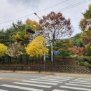 우면생태놀이터 이미지