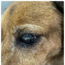 신천동물병원 이미지