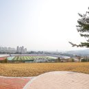안강운동장 이미지