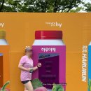 하루야 | 2026 하루야채런 10키로 참가 겨우 완주 후기