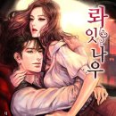 나우북스