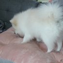 올다람 이미지