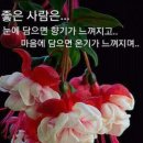 한주 Daum카페