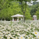 악양생태공원 이미지