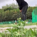 지성인골프 | [공지] 2026년, 6월 1일부터 새롭게 도약하는 파크골프 전문 블로그 안내