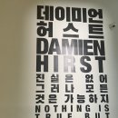 신성약국 | [전시] 국립현대미술관｜데이미언 허스트 개인전 관람 후기