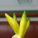 (주)황소 이미지
