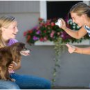 봄날동물병원 이미지