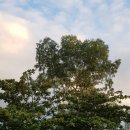 수정에너지 이미지