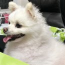 수안보세탁소 | 10월 2주차 &lt; 국토종주 일지 &gt;