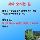 숲속도마치계곡캠핑장 이미지