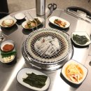고기극찬수영