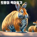 성북-길음-3228 | D-day 진통, 출산한 날, 첫 육아일기. 자연분만, 유도분만, 촉진제 쓰고 태변 때문에, 결국 제왕절개...