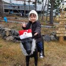 행복한흑염소농장 이미지