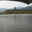 민들레장 이미지