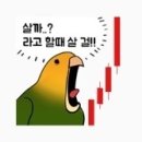 다라기획 이미지