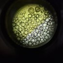 심은솜씨 2 3공장 | 울대영재원 3년후기