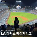 아웃독(OUT DOG) | 미국 LA 다저스 메이저리그 경기 관람 후기