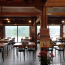 홍춘천치즈닭갈비 이미지