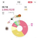 📉25년 9월 가계부 : 일본 고베 여행 후기를 곁든.. (-2,990,152원)