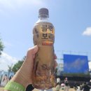 앙상블 모텔 | 24.05월 원더랜드피크닉 WONDERLAND PICNIC 2024